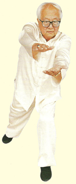 Yap Cheng Hai Yan Shou Gong