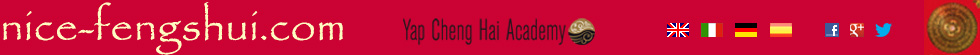 NICE FENG SHUI ENTETE